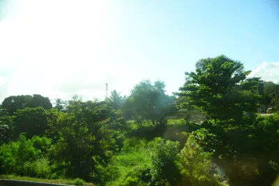 DSC_7705 (Large).JPG